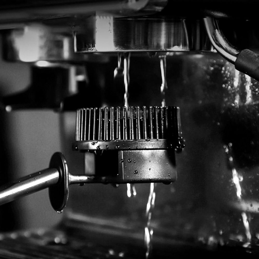 Removable Coffee Machine Brush - đánh giá và giá Group Head Brush